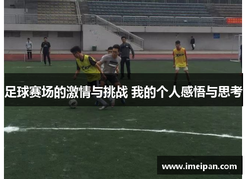 足球赛场的激情与挑战 我的个人感悟与思考